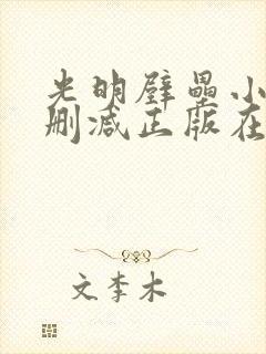 光明壁垒小说无删减正版在线阅读