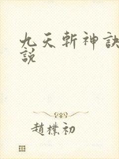 九天斩神诀的小说