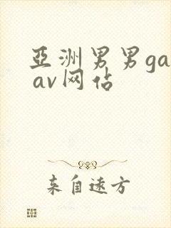 亚洲男男gay av网站