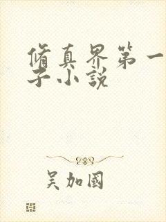 修真界第一病秧子小说封面