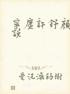 宁尘许舒颜的小说封面