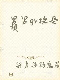男男gv攻受视频