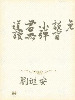 道君小说免费阅读无弹窗封面