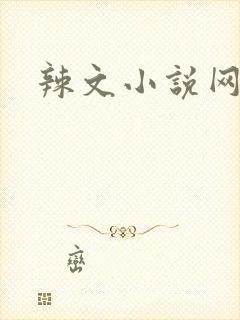 辣文小说网封面