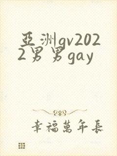 亚洲gv2022男男gay