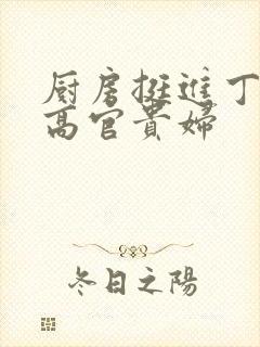 厨房挺进丁字裤高官贵妇