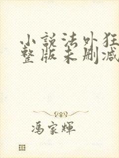 小说法外狂徒完整版未删减小说封面