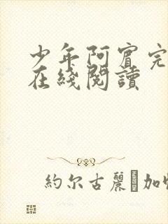 少年阿宾完整版在线阅读