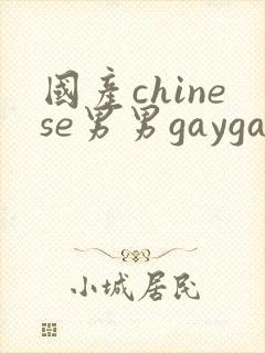 国产chinese男男gaygay在线播放网站