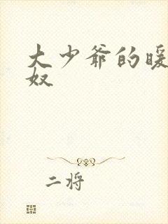 大少爷的暖床小奴