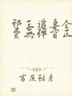 邪王追妻全文免费无弹窗正版