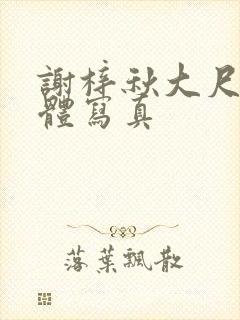 谢梓秋大尺度裸体写真封面