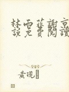 林雨菲谢京墨小说免费阅读笔趣阁