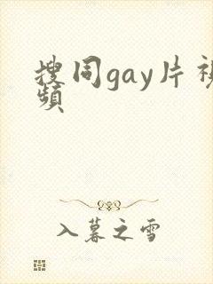 搜同gay片视频封面