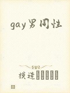 gay男同性封面