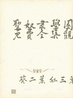 圣奴隶学园动漫免费全集观看