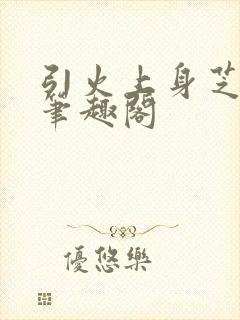 引火上身芝麻糖笔趣阁封面