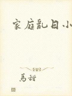 家庭乱日小说封面