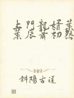 上门龙婿叶辰 叶辰萧初然最新