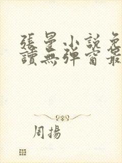 张曼小说免费阅读无弹窗最新章节封面