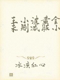 王小波黄金时代未删减版小说下载