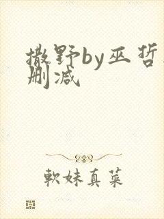 撒野by巫哲无删减封面