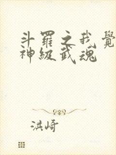 斗罗之我觉醒了神级武魂
