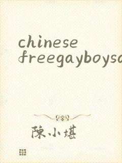 chinesefreegayboysandbigcocks封面