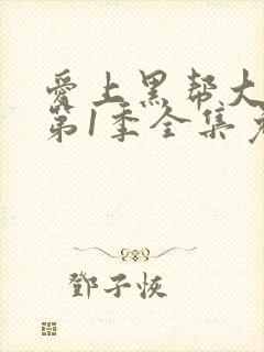 爱上黑帮大佬的第1季全集免费观看封面