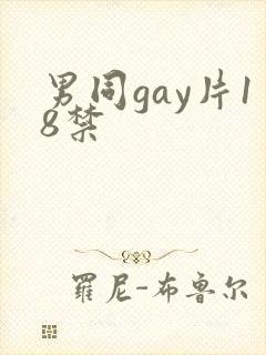 男同gay片18禁