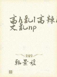 高h乱l高辣h文乱np