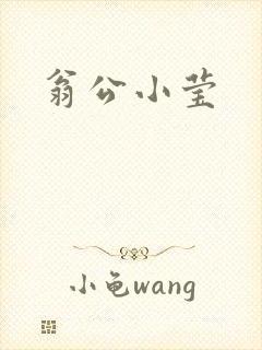 翁公小莹