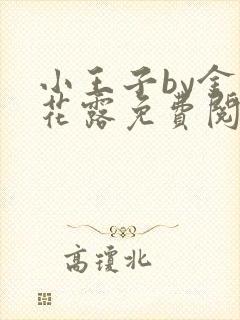 小王子by金银花露免费阅读笔趣阁