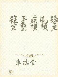 杀手疾风号在线完整视频免费观看