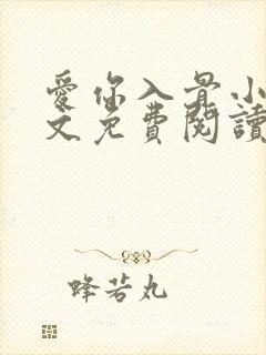 爱你入骨小说全文免费阅读