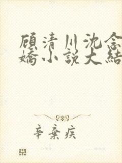 顾清川沈念李娇娇小说大结局