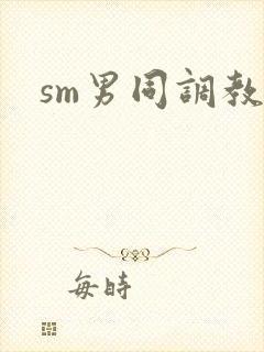 sm男同调教文封面
