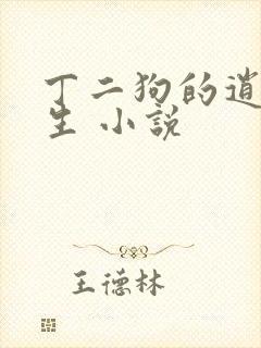 丁二狗的逍遥人生 小说