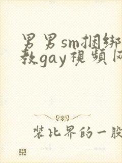 男男sm捆绑调教gay视频网站封面