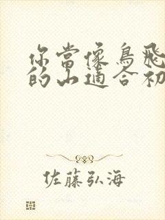 你当像鸟飞往你的山适合初中生看吗