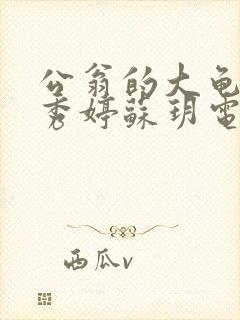 公翁的大龟挺进秀婷苏玥电影