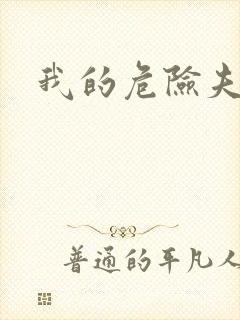 我的危险夫人封面