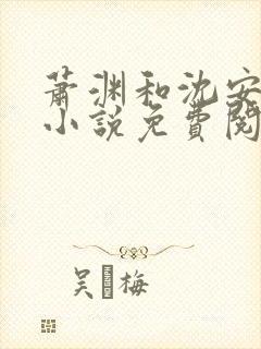 萧渊和沈安安的小说免费阅读