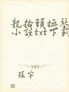 龙抬头抚琴的人小说txt下载