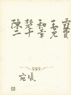 陈楚和王霞三百二十章免费阅读