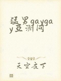 猛男gaygay亚洲网