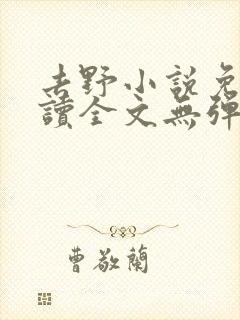 去野小说免费阅读全文无弹窗封面