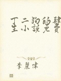 丁二狗的肆意人生小说免费阅读封面