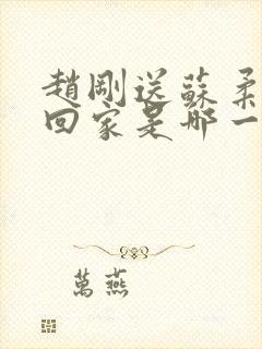 赵刚送苏柔老公回家是哪一集封面