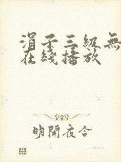 涓子三级无删减在线播放